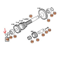 Segerka mezih��dele DAILY 5st. P�evodovka